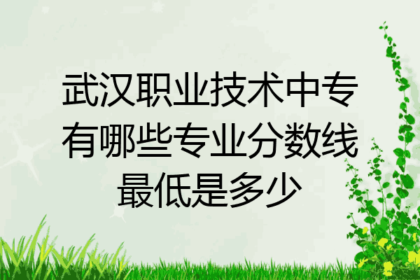 武汉职业技术中专有哪些专业分数线最低是多少