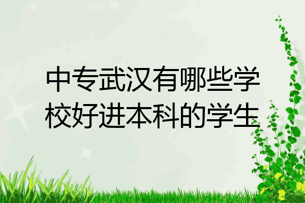 中专武汉有哪些学校好进本科的学生