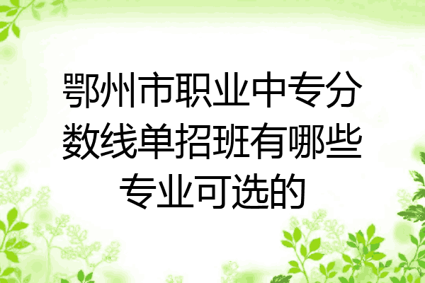 鄂州市职业中专分数线单招班有哪些专业可选的