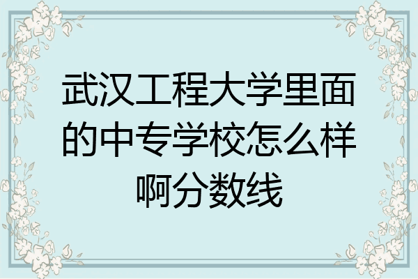武汉工程大学里面的中专学校怎么样啊分数线