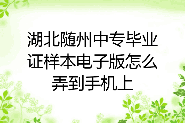 湖北随州中专毕业证样本电子版怎么弄到手机上