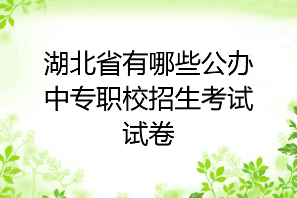 湖北省有哪些公办中专职校招生考试试卷