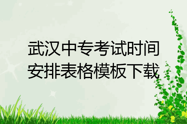 武汉中专考试时间安排表格模板下载