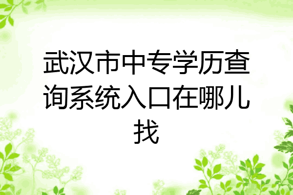 武汉市中专学历查询系统入口在哪儿找