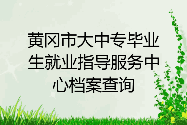 黄冈市大中专毕业生就业指导服务中心档案查询