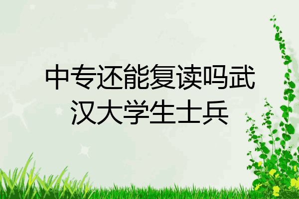 中专还能复读吗武汉大学生士兵