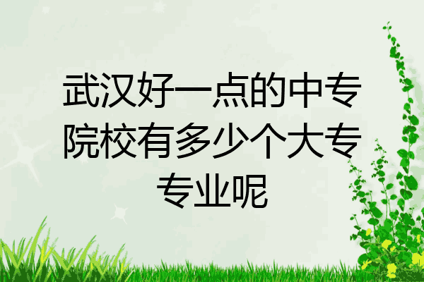 武汉好一点的中专院校有多少个大专专业呢
