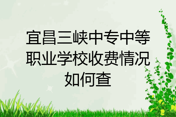 宜昌三峡中专中等职业学校收费情况如何查