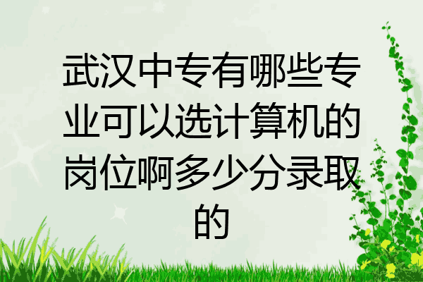 武汉中专有哪些专业可以选计算机的岗位啊多少分录取的