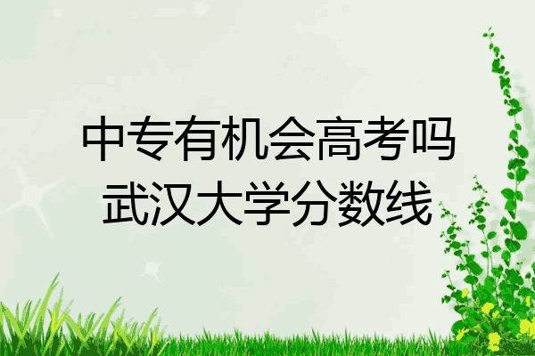 中专有机会高考吗武汉大学分数线
