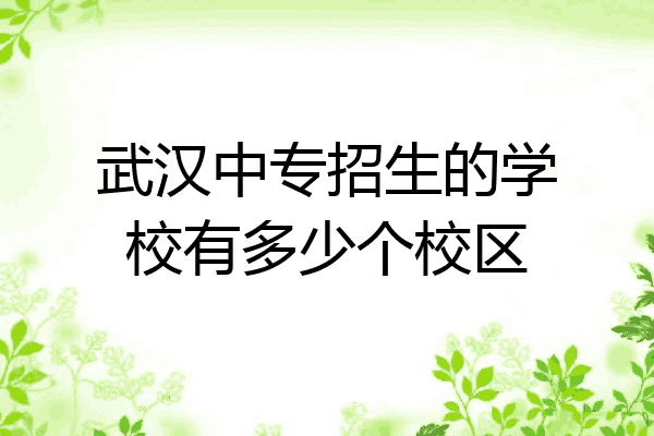 武汉中专招生的学校有多少个校区