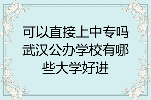 可以直接上中专吗武汉公办学校有哪些大学好进