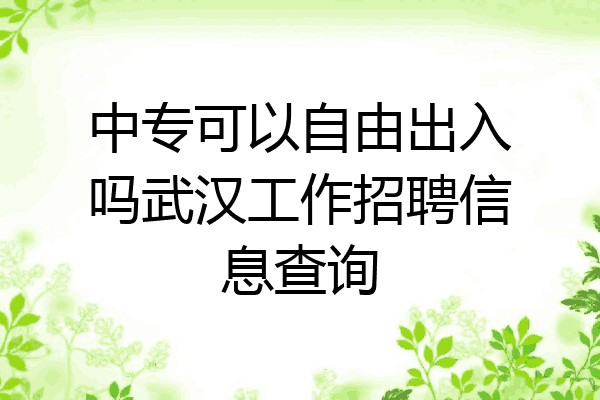 中专可以自由出入吗武汉工作招聘信息查询