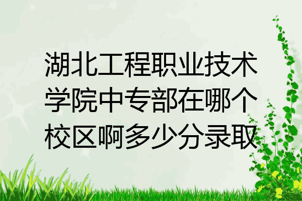 湖北工程职业技术学院中专部在哪个校区啊多少分录取