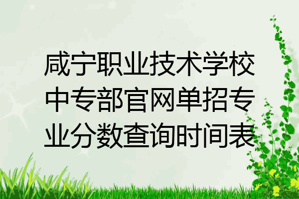 咸宁职业技术学校中专部官网单招专业分数查询时间表