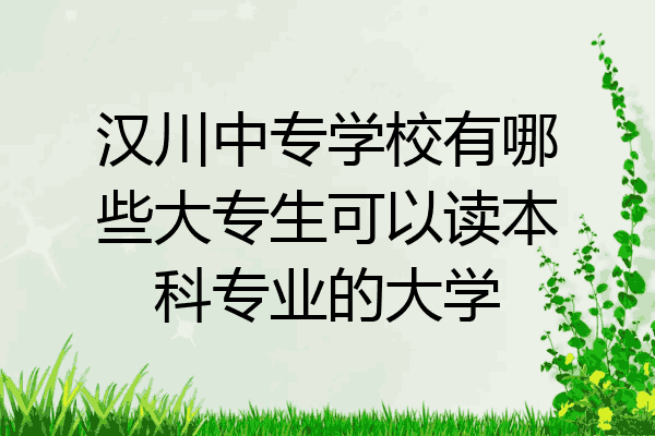 汉川中专学校有哪些大专生可以读本科专业的大学