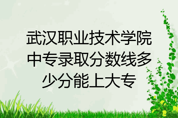 武汉职业技术学院中专录取分数线多少分能上大专