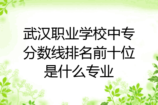 武汉职业学校中专分数线排名前十位是什么专业