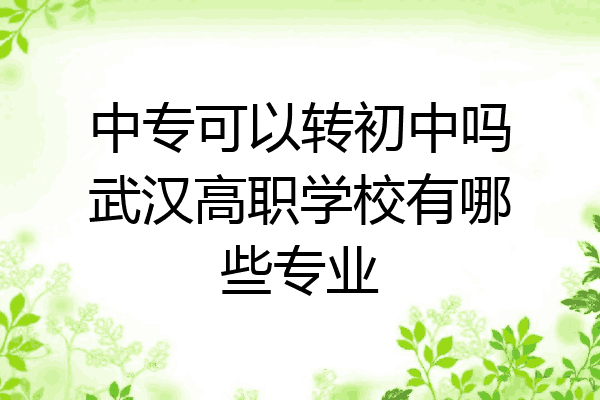 中专可以转初中吗武汉高职学校有哪些专业