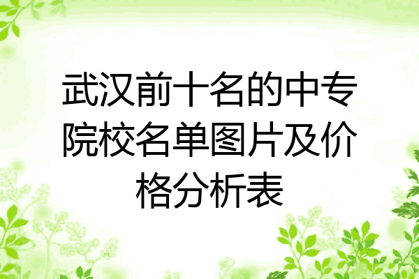 武汉前十名的中专院校名单图片及价格分析表
