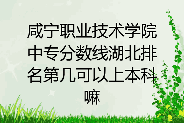 咸宁职业技术学院中专分数线湖北排名第几可以上本科嘛