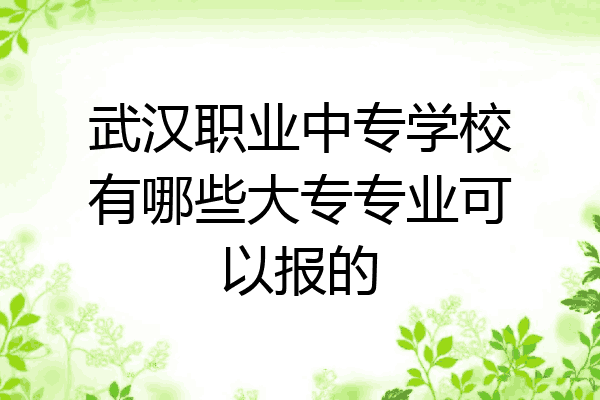 武汉职业中专学校有哪些大专专业可以报的