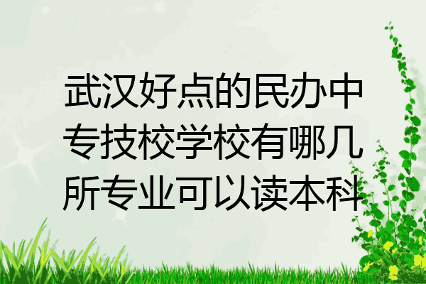 武汉好点的民办中专技校学校有哪几所专业可以读本科