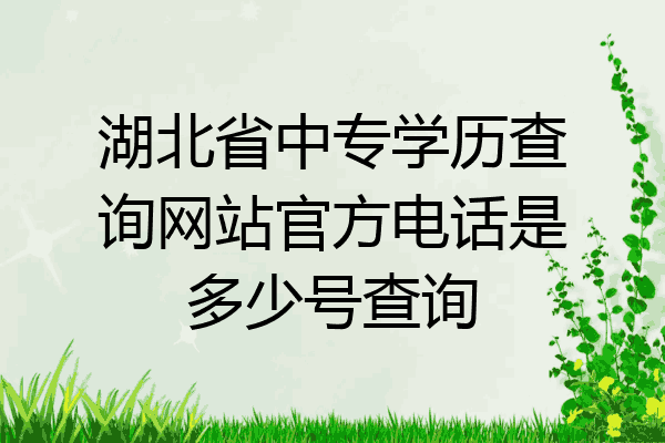湖北省中专学历查询网站官方电话是多少号查询