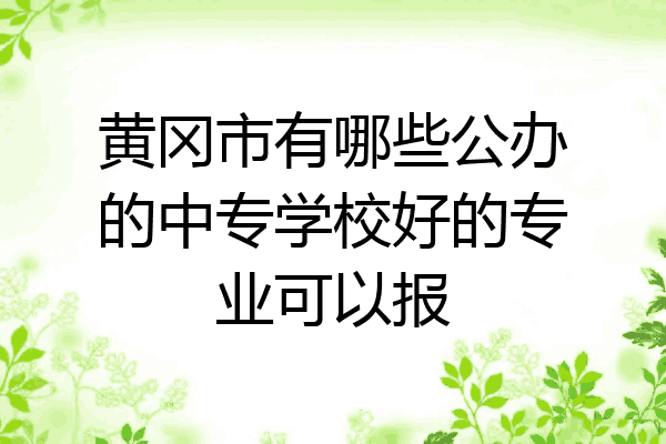 黄冈市有哪些公办的中专学校好的专业可以报