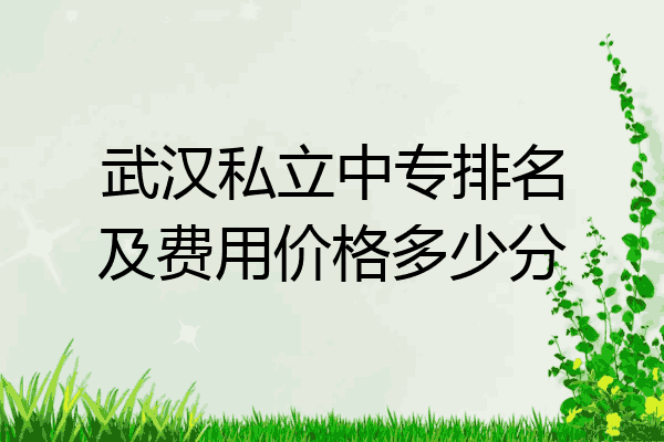 武汉私立中专排名及费用价格多少分