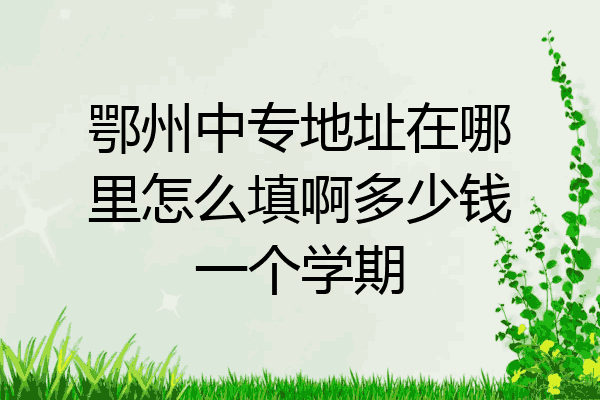 鄂州中专地址在哪里怎么填啊多少钱一个学期