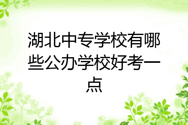 湖北中专学校有哪些公办学校好考一点