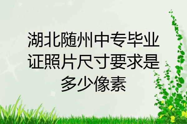 湖北随州中专毕业证照片尺寸要求是多少像素
