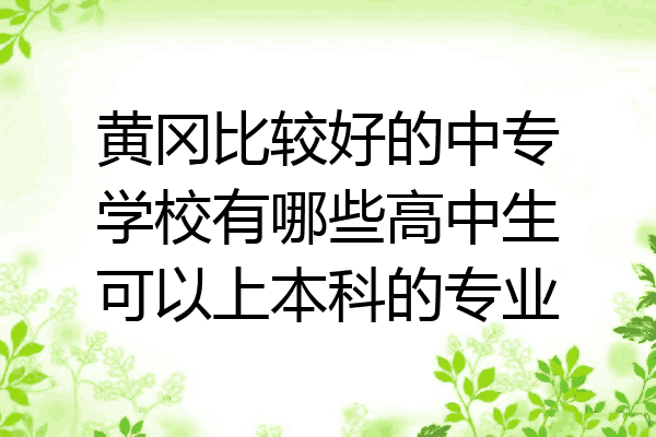 黄冈比较好的中专学校有哪些高中生可以上本科的专业