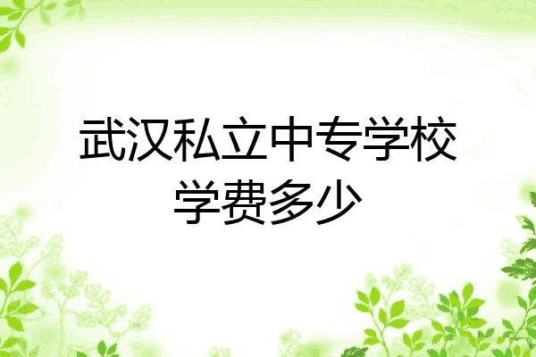 武汉私立中专学校学费多少