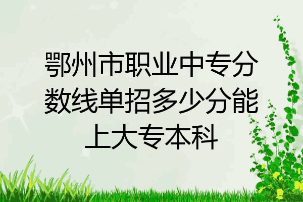 鄂州市职业中专分数线单招多少分能上大专本科