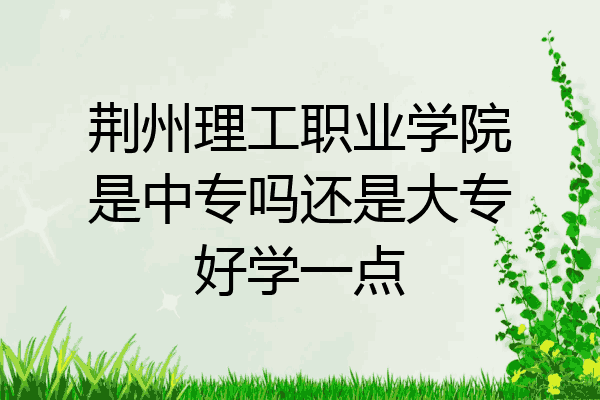 荆州理工职业学院是中专吗还是大专好学一点