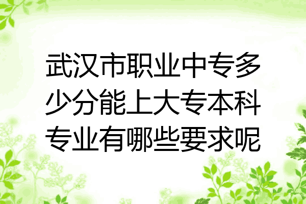 武汉市职业中专多少分能上大专本科专业有哪些要求呢