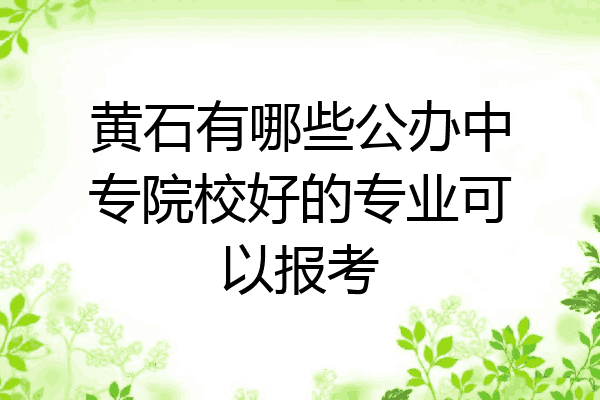 黄石有哪些公办中专院校好的专业可以报考