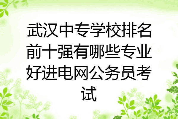 武汉中专学校排名前十强有哪些专业好进电网公务员考试