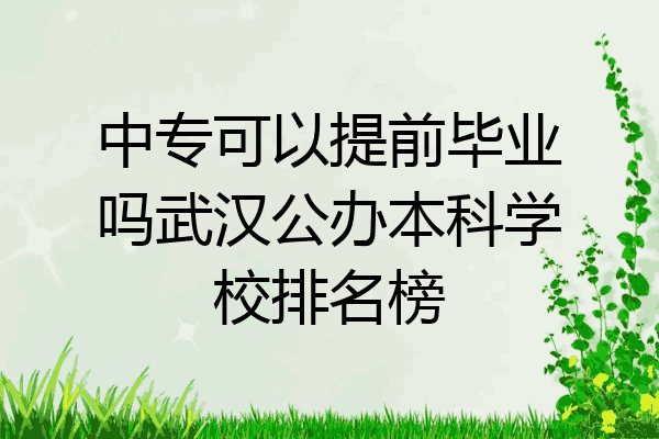 中专可以提前毕业吗武汉公办本科学校排名榜
