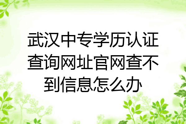 武汉中专学历认证查询网址官网查不到信息怎么办