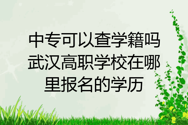中专可以查学籍吗武汉高职学校在哪里报名的学历