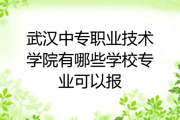 武汉中专职业技术学院有哪些学校专业可以报