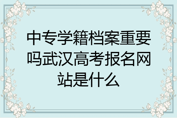 中专学籍档案重要吗武汉高考报名网站是什么