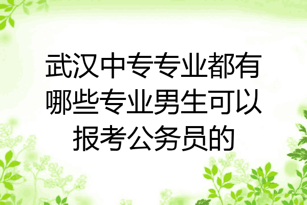 武汉中专专业都有哪些专业男生可以报考公务员的