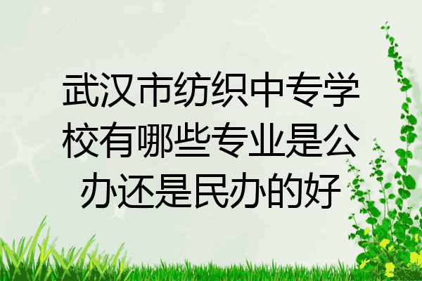 武汉市纺织中专学校有哪些专业是公办还是民办的好