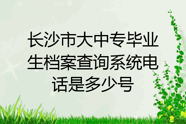 长沙市大中专毕业生档案查询系统电话是多少号