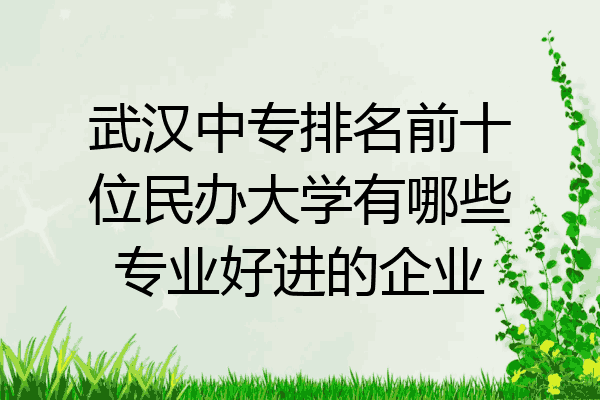 武汉中专排名前十位民办大学有哪些专业好进的企业