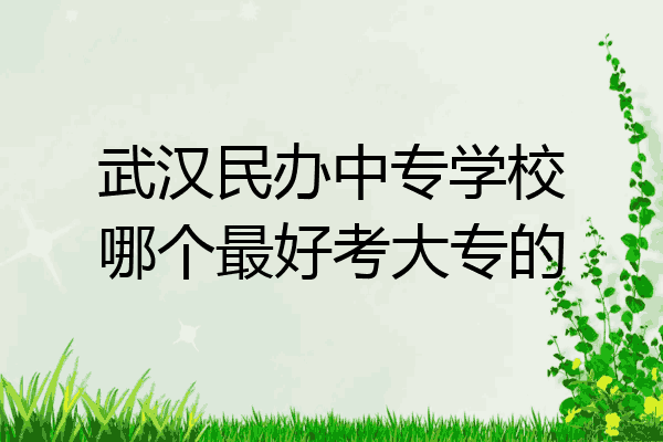 武汉民办中专学校哪个最好考大专的